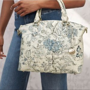 Rare Brahmin Blue Jay Purse